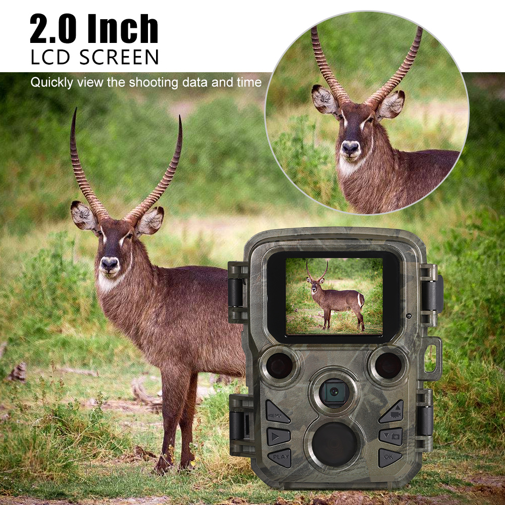 H881 Hd Trail Caméra Chasse Caméra De Chasse 120 Angle Motion Activé 2.31In  Affichage Lcd